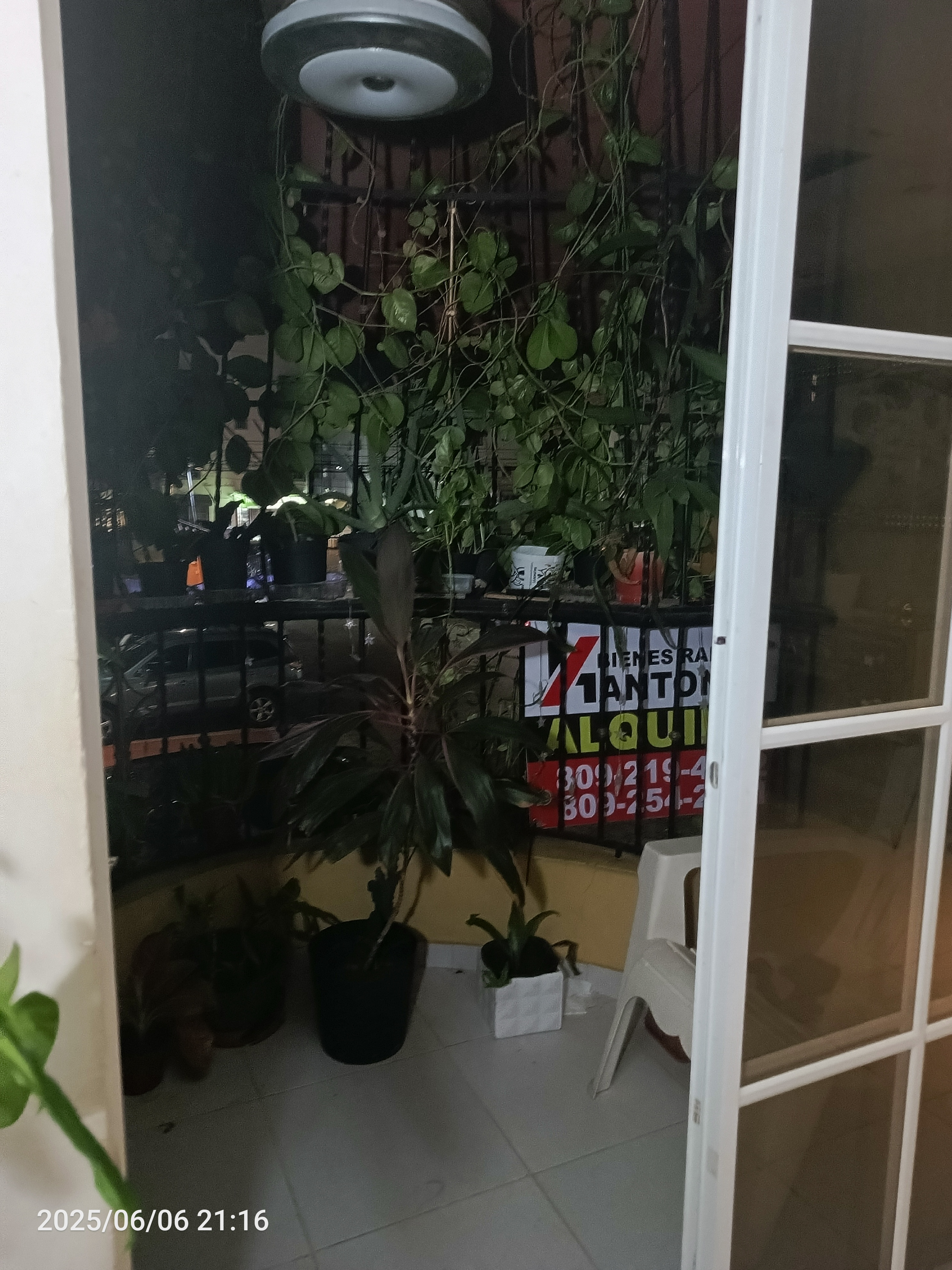 apartamentos - Apartamento Alma Rosa 2 (sin intermediario) 2