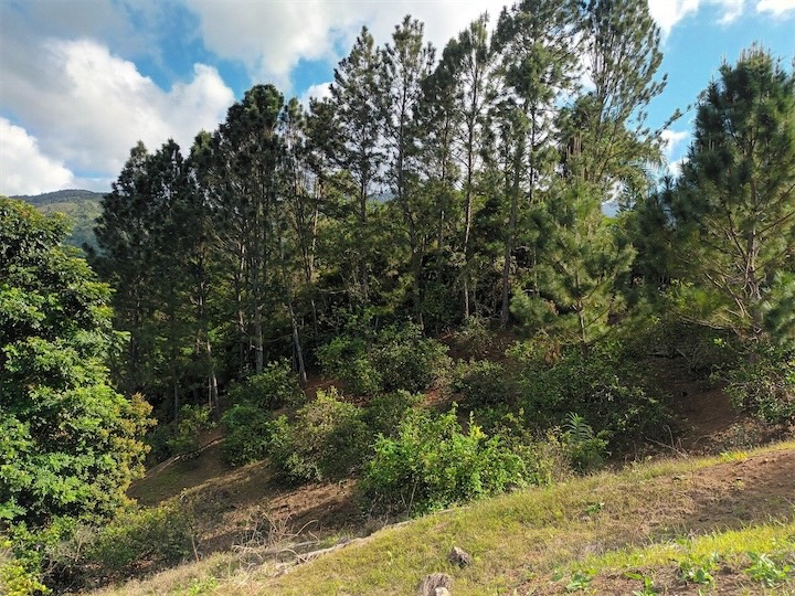 solares y terrenos - Terreno en Venta en JARABACOA 
 4