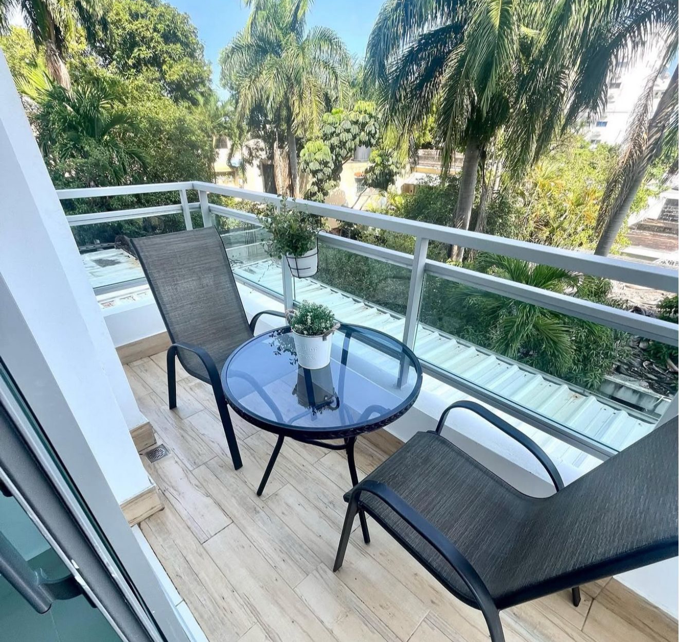apartamentos - Apartamento en Alquiler en Gazcue 3
