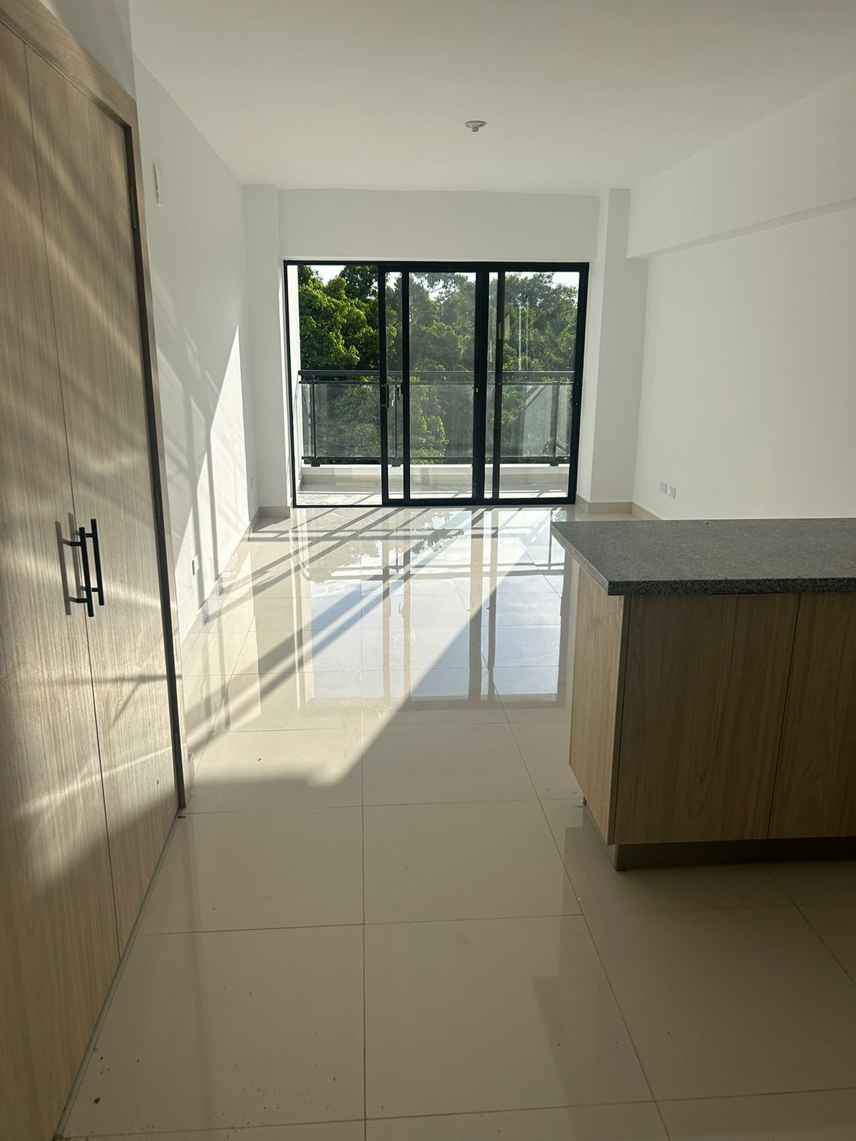 apartamentos - LUJOSO APARTAMENTO EN ALQUILER EN NACO 8
