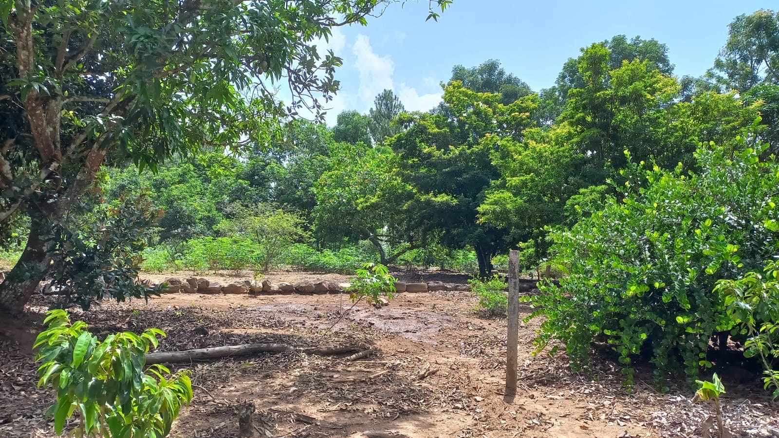 solares y terrenos - Solar en venta en los mogotes de Villa Altagracia República Dominicana de 5000m2 1