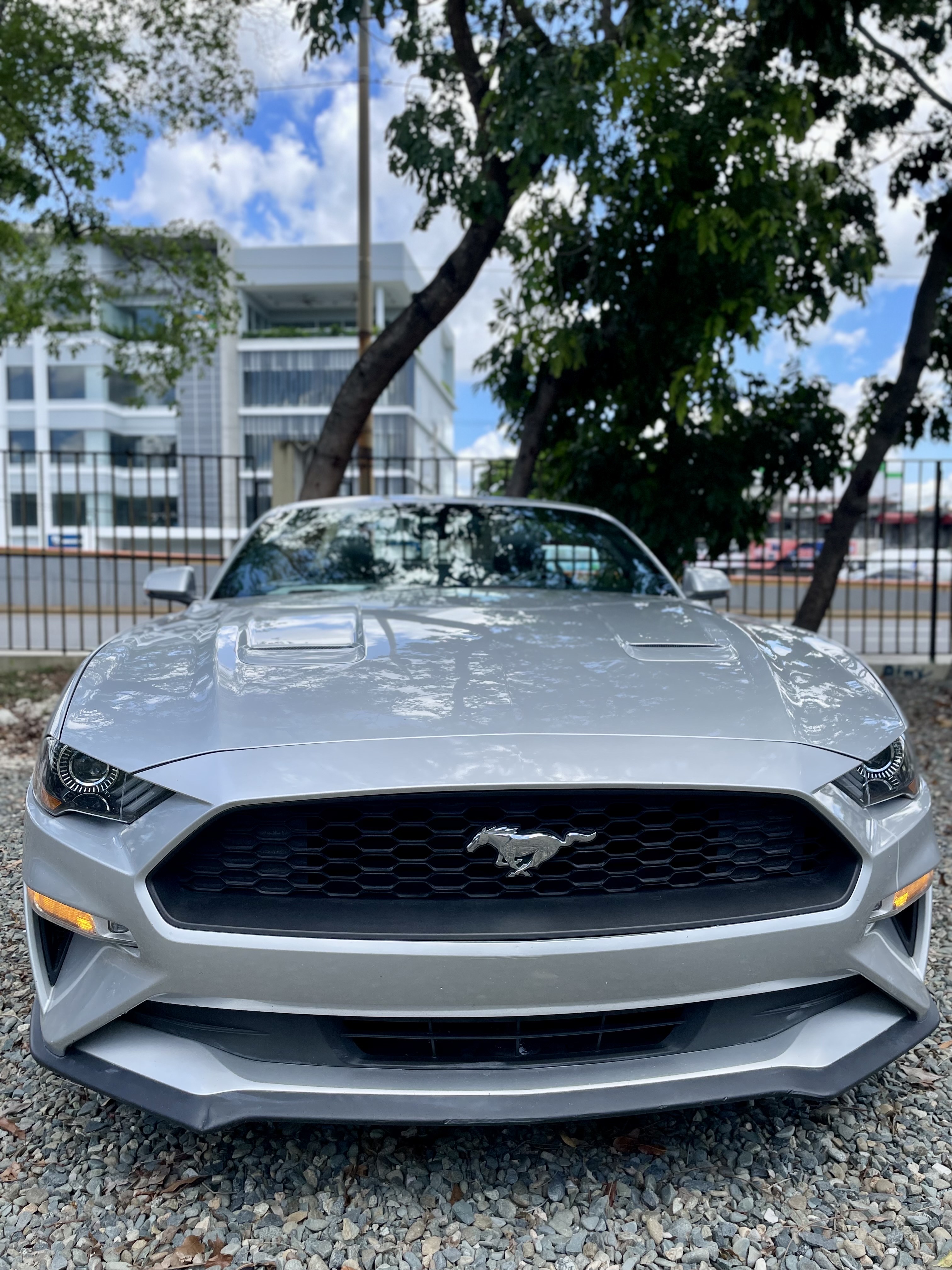 carros - Ford Mustang 2019  0
