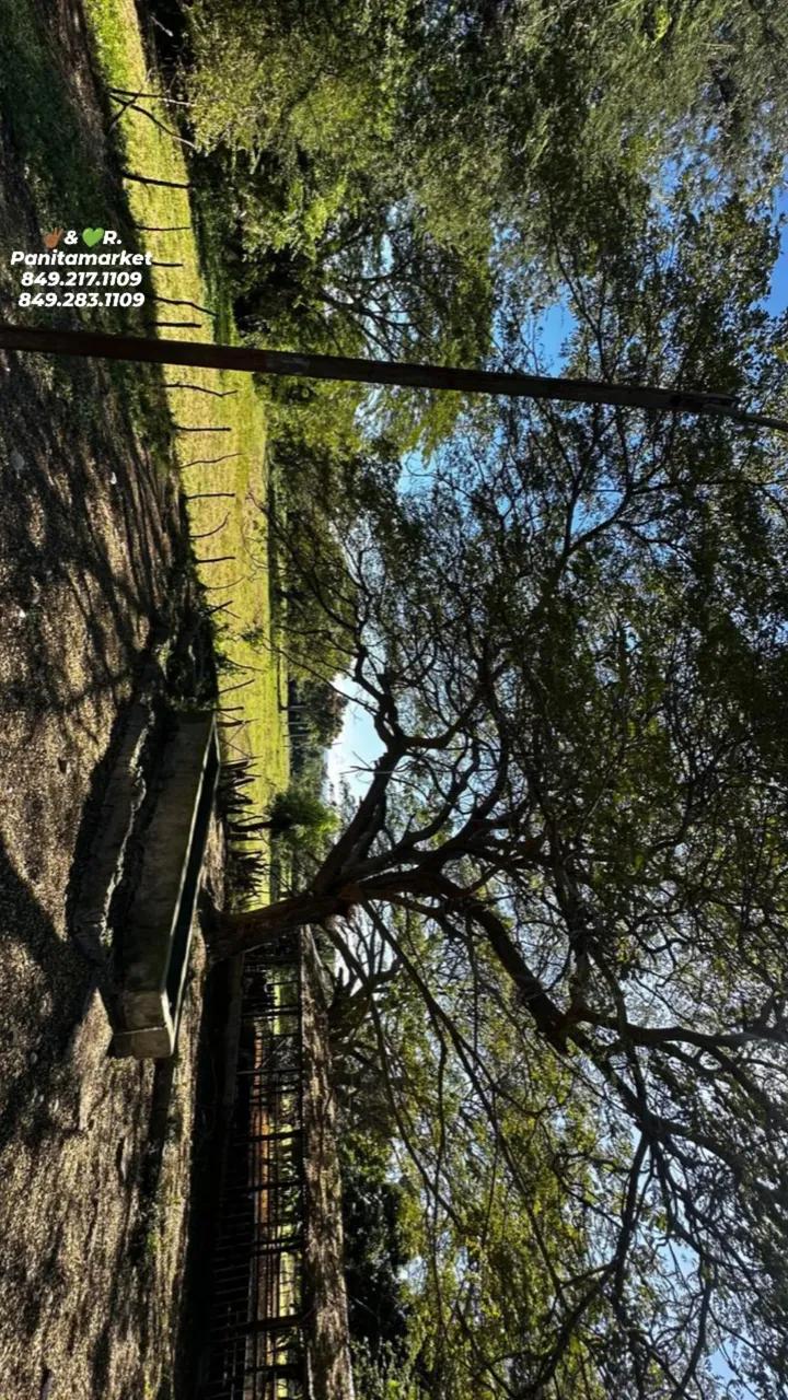 solares y terrenos - Finca de 225 tareas  con acceso al rio Yaque del norte en Santiago  3