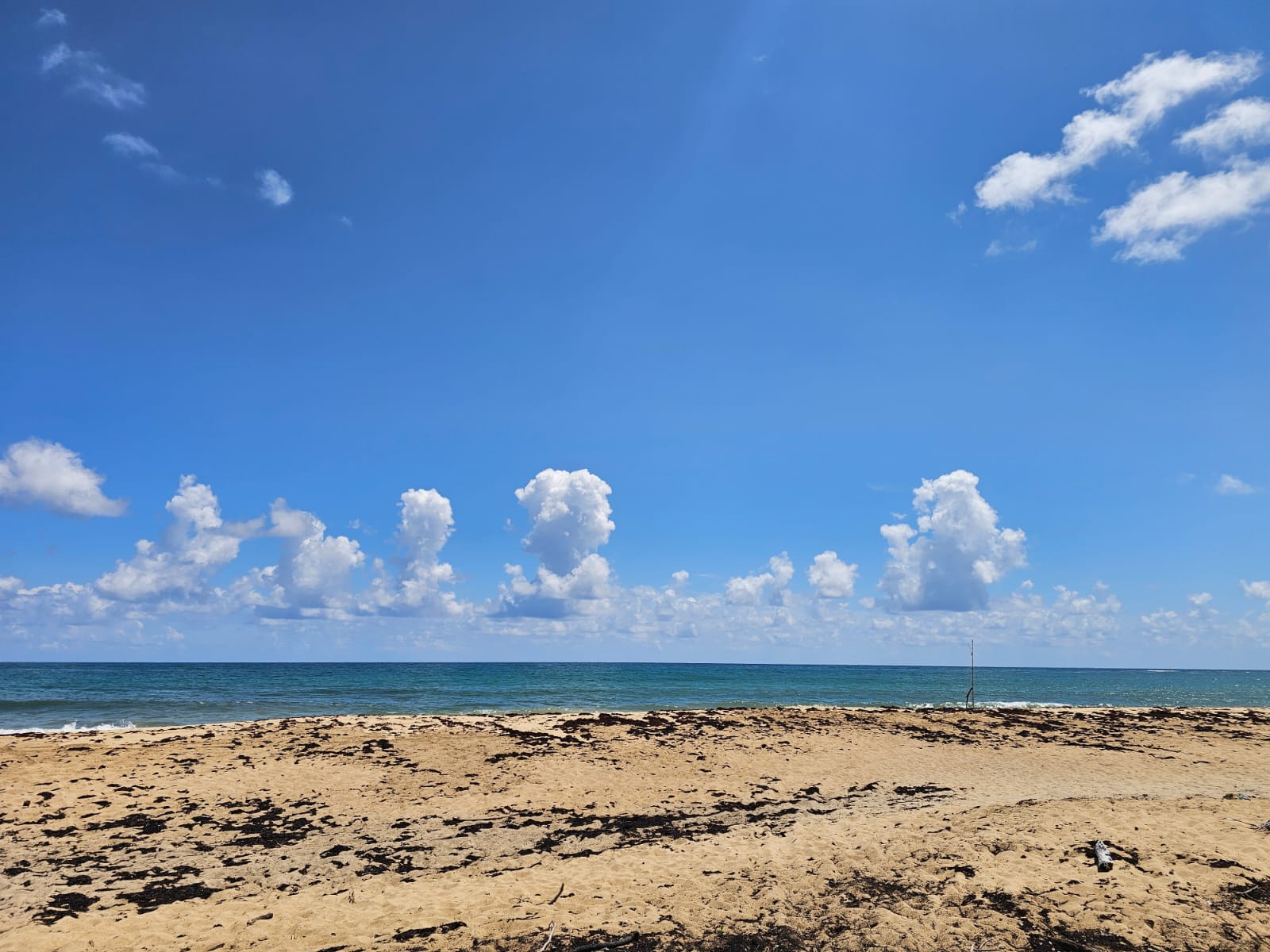 solares y terrenos - VENDO EN PLAYA EL LIMÓN EN MICHES HERMOSOS TERRENOS A PIE DE PLAYA  4