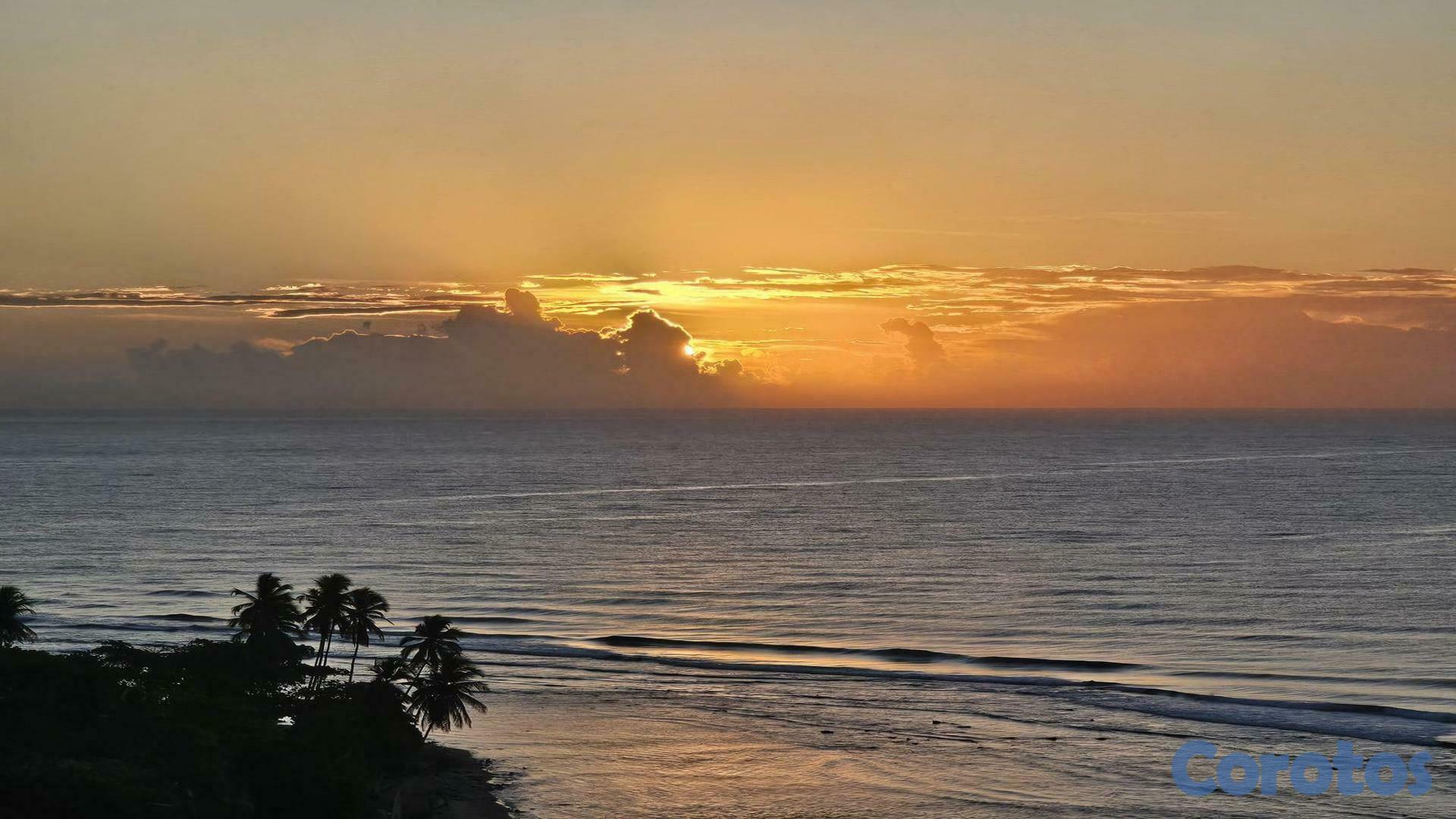 apartamentos - APARTAMENTO FRENTE AL MAR EN JUAN DOLIO 2