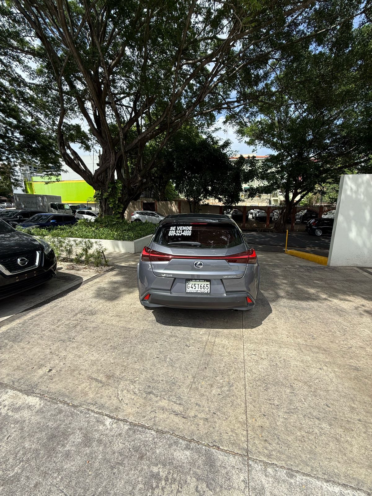 jeepetas y camionetas - Vendo de Oportunidad Lexus UX250H Sport de la Delt 3