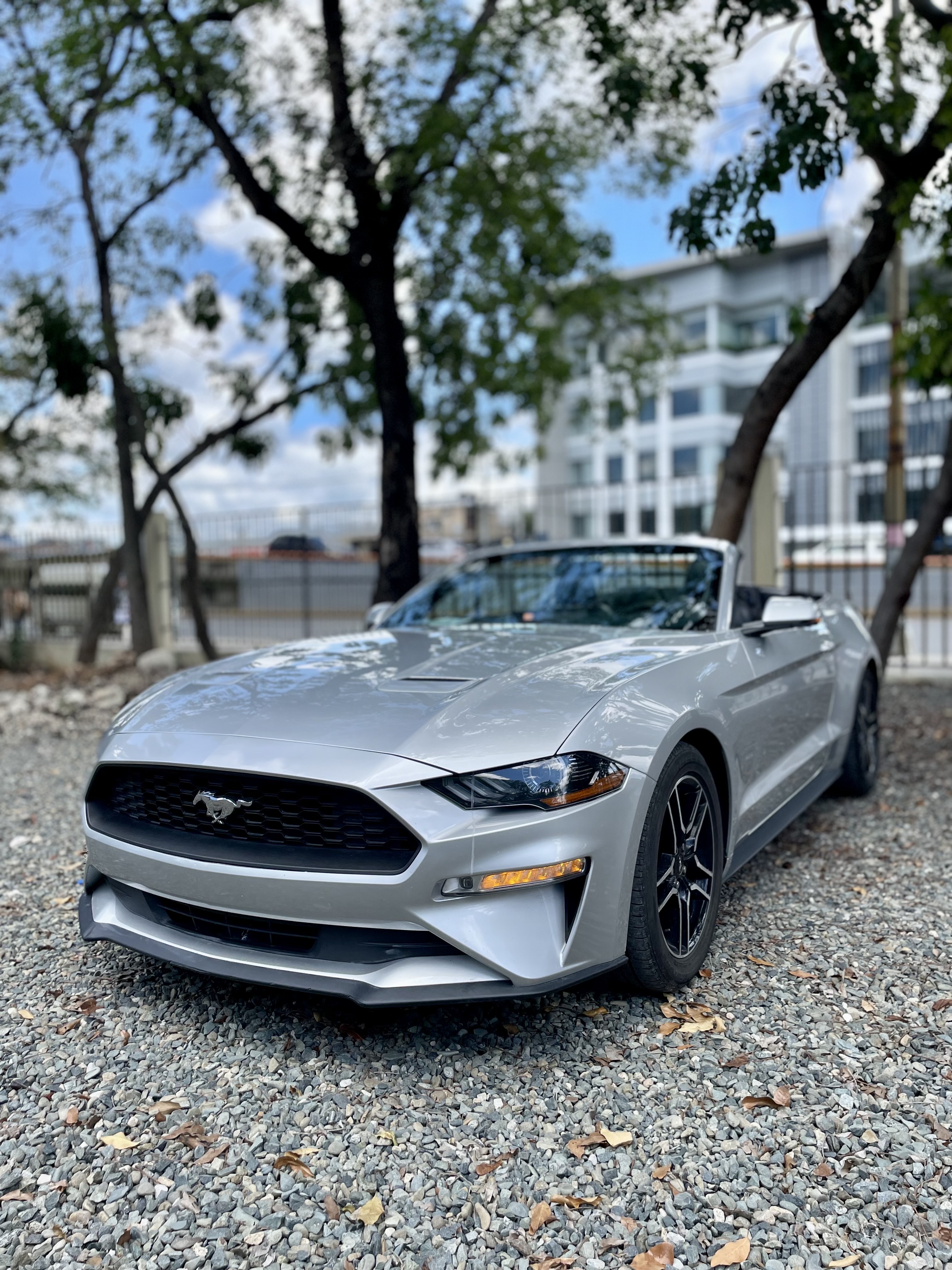 carros - Ford Mustang 2019  1