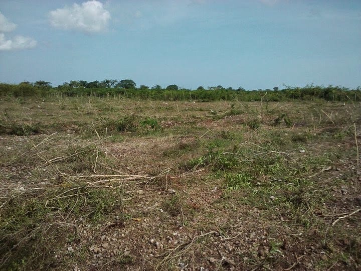 solares y terrenos - Se vende 15,625 metro en el 14 de cumayasa 0