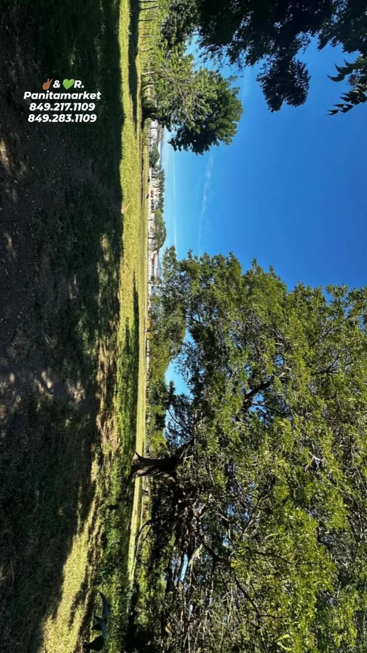 solares y terrenos - Finca de 225 tareas  con acceso al rio Yaque del norte en Santiago  4