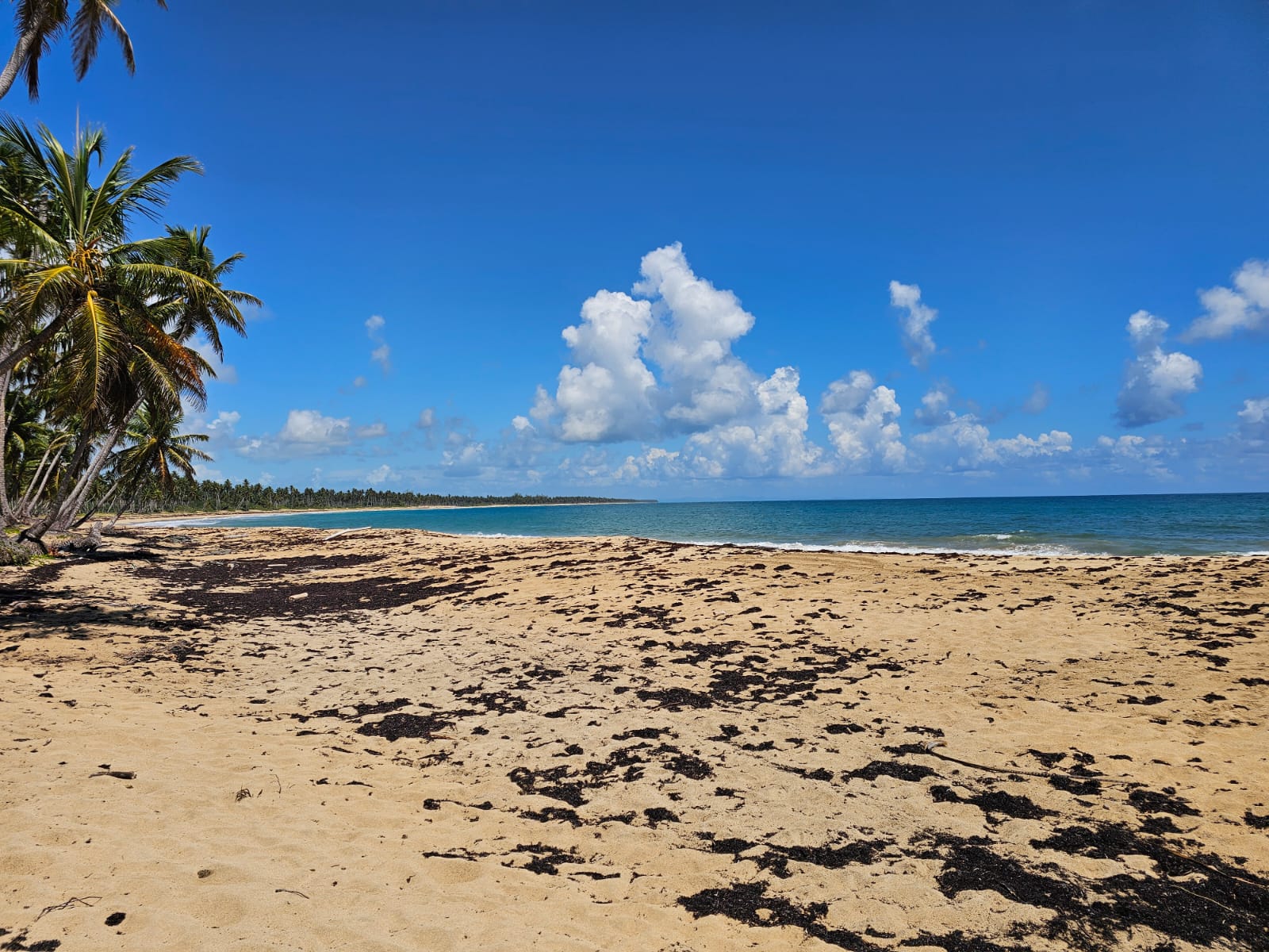 solares y terrenos - VENDO EN PLAYA EL LIMÓN EN MICHES HERMOSOS TERRENOS A PIE DE PLAYA  5