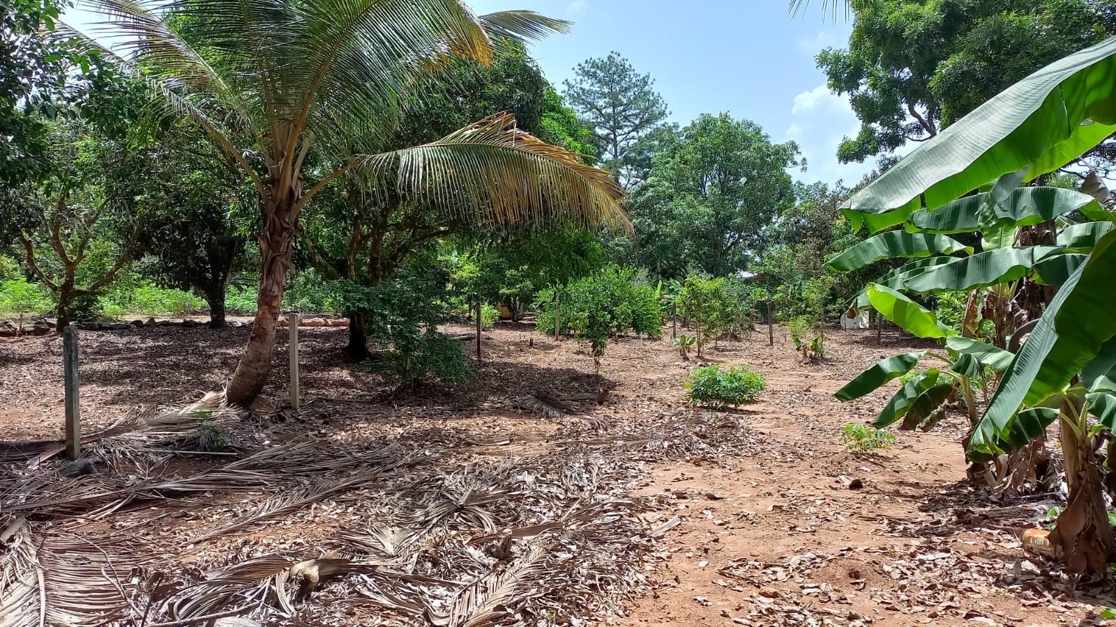 solares y terrenos - Solar en venta en los mogotes de Villa Altagracia República Dominicana de 5000m2 3