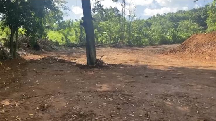 solares y terrenos - Tierra en Venta La Vega 
Finca En Venta 
Terreno en Venta  5