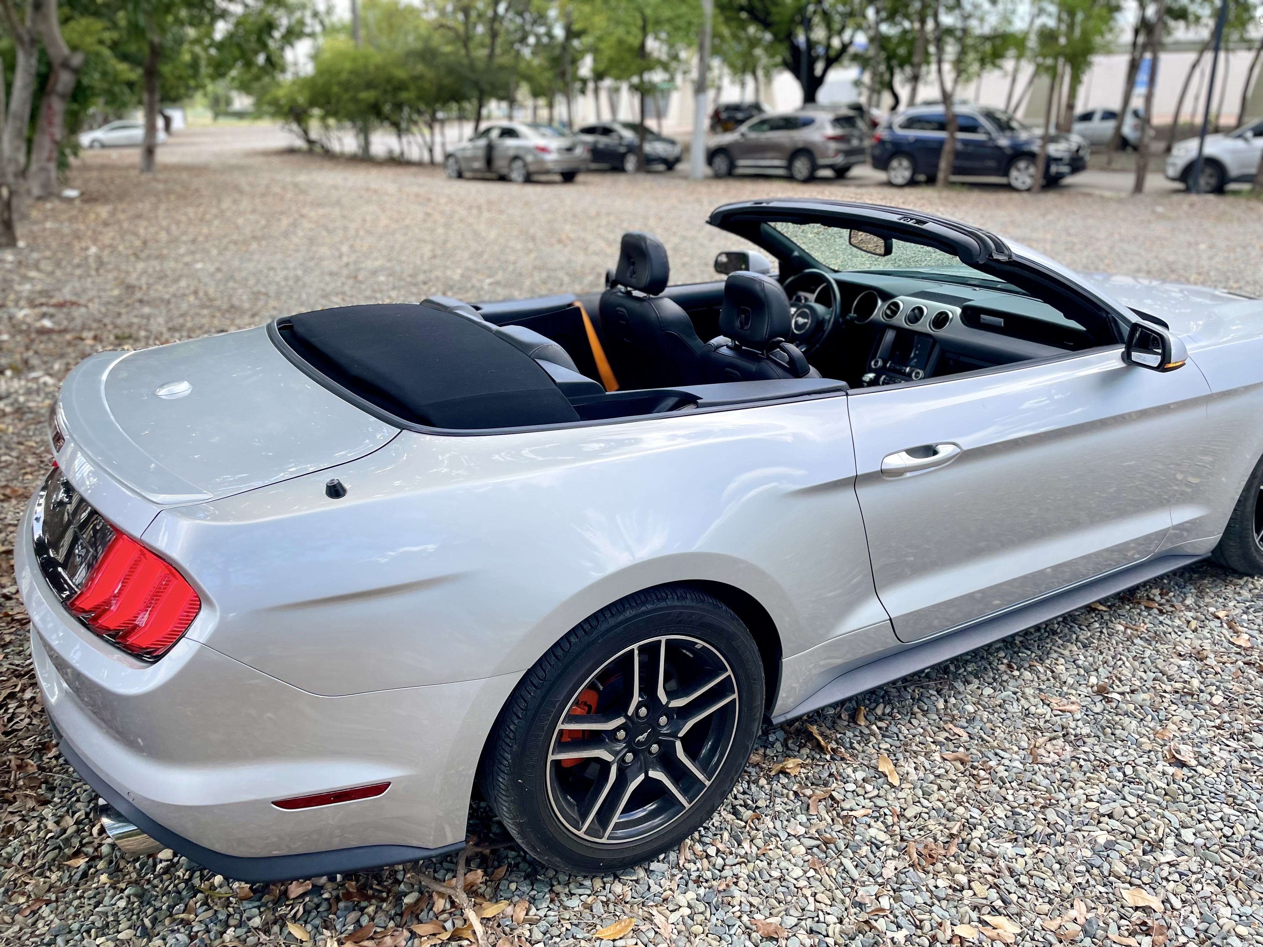carros - Ford Mustang 2019  3