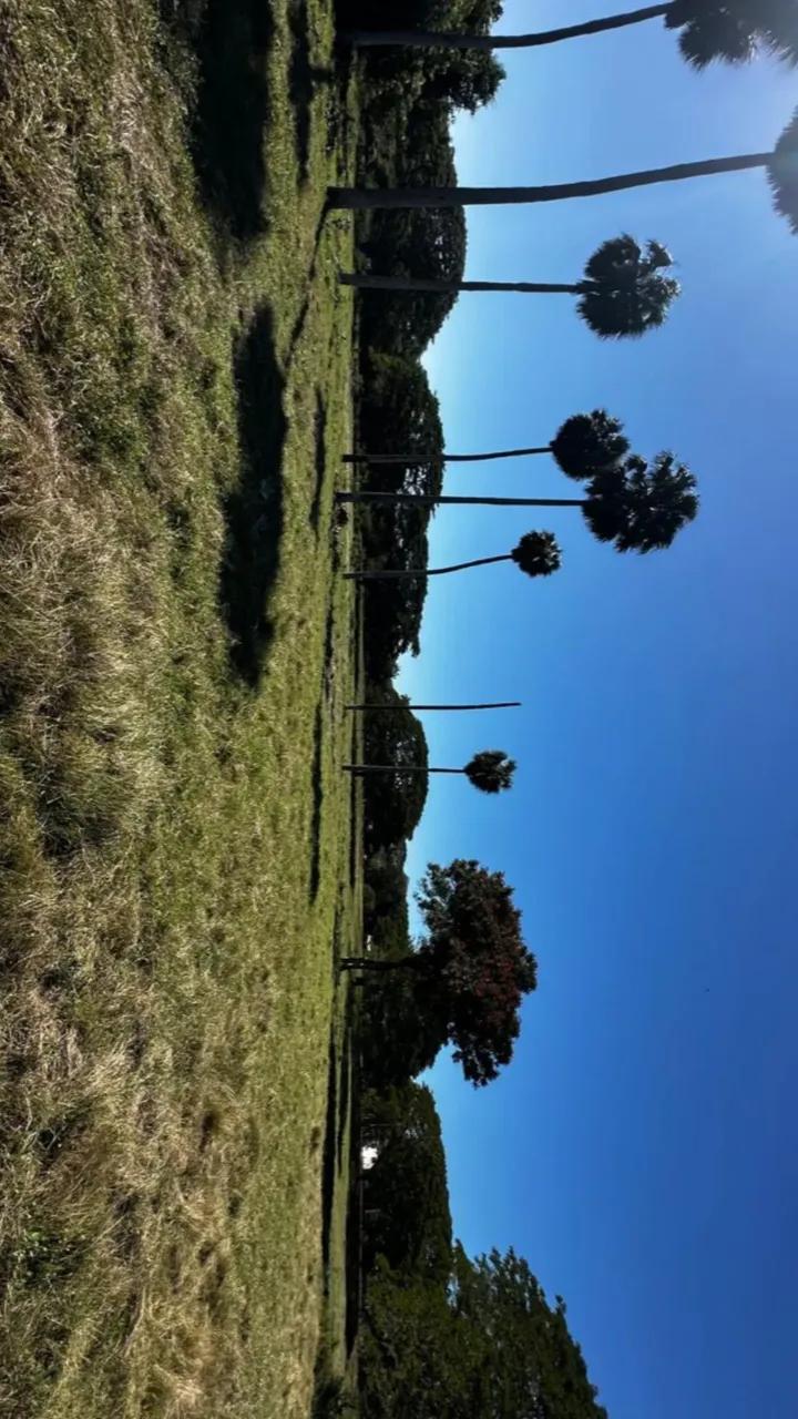 solares y terrenos - Finca de 225 tareas  con acceso al rio Yaque del norte en Santiago  6