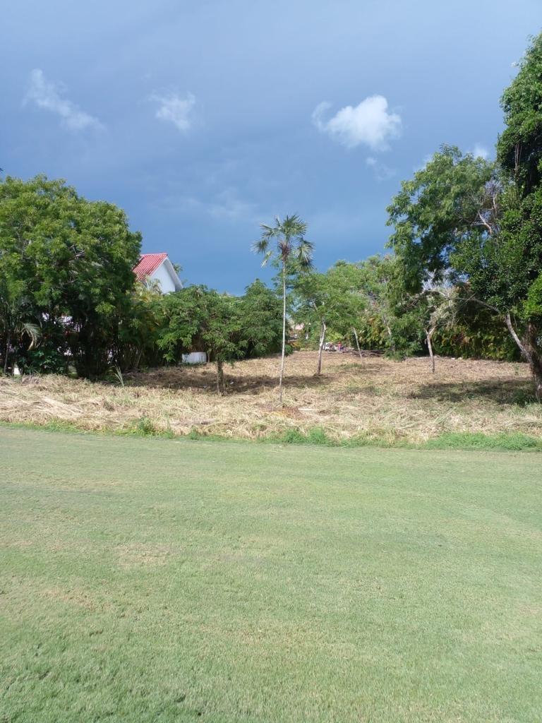 solares y terrenos - Solar  en venta en excelente zona en Guavaberry.