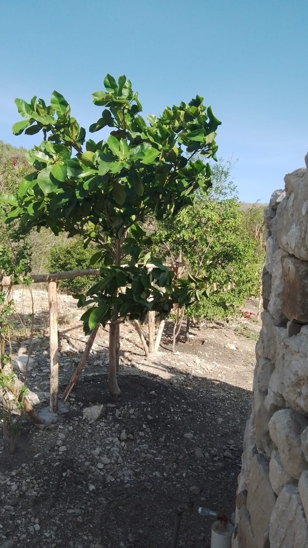solares y terrenos - Terreno para hacer tu casa de Playa y Montaña 1