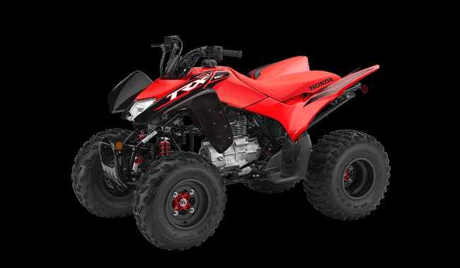 vehiculos recreativos - FOUR WHEEL   TRX250X