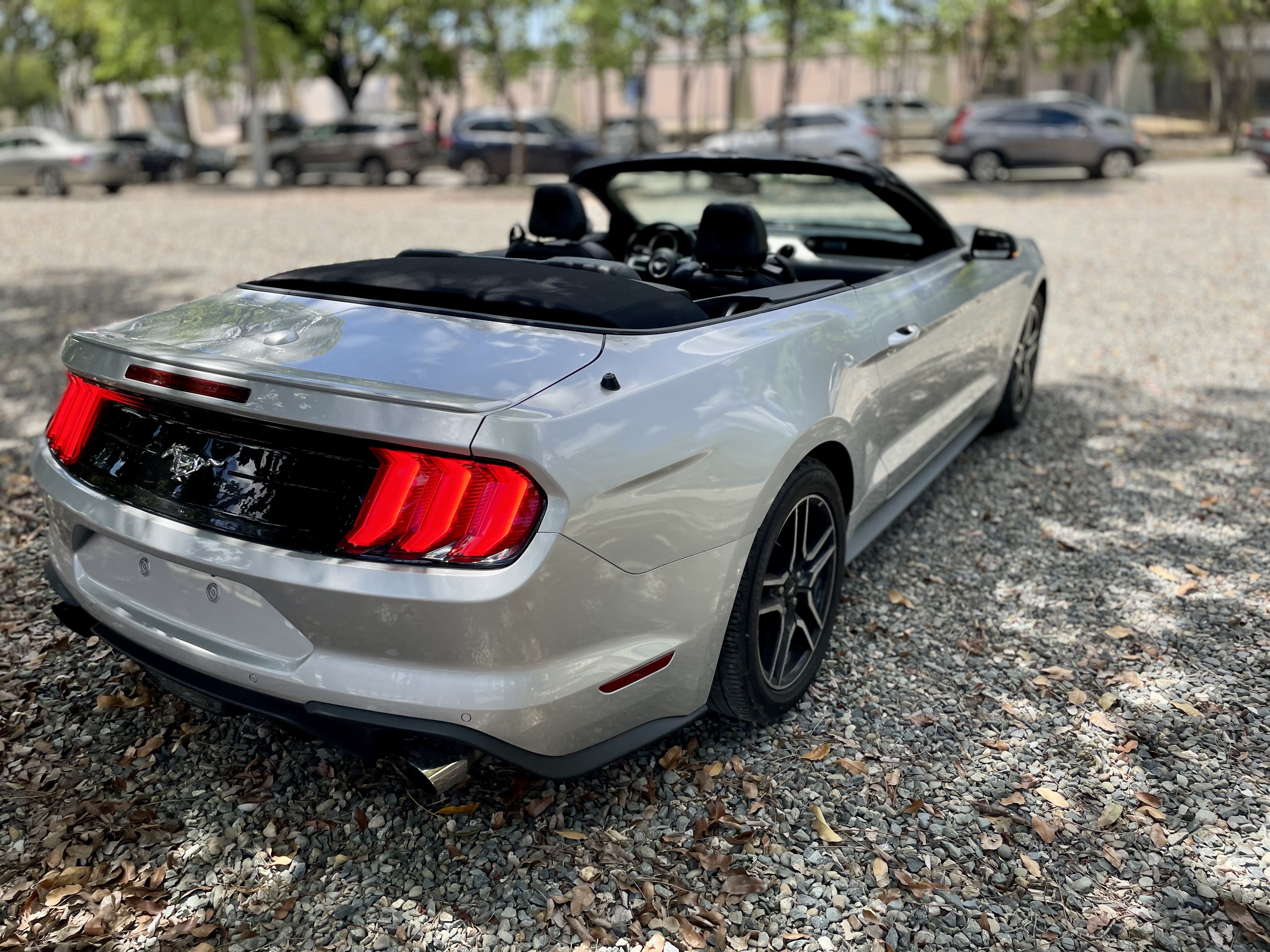 carros - Ford Mustang 2019  4