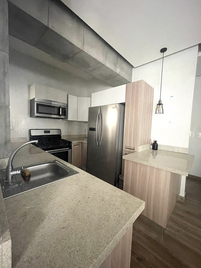 apartamentos - Apartamento de 1 habitaciones en alquiler Piantini 5