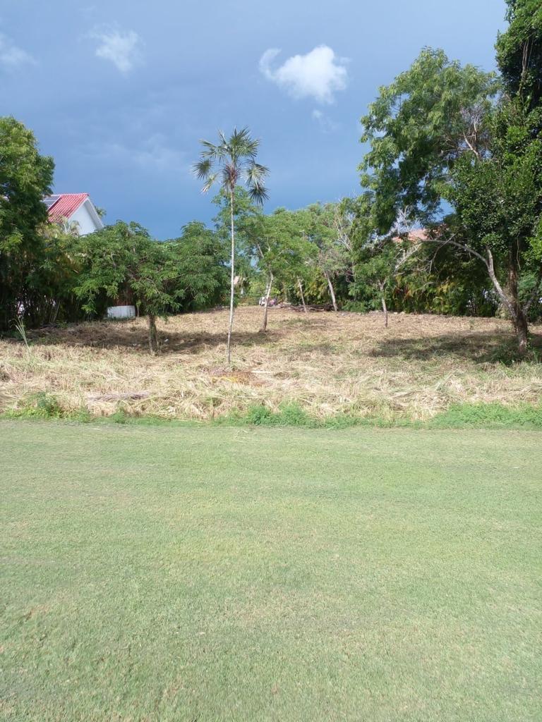 solares y terrenos - Solar  en venta en excelente zona en Guavaberry. 1