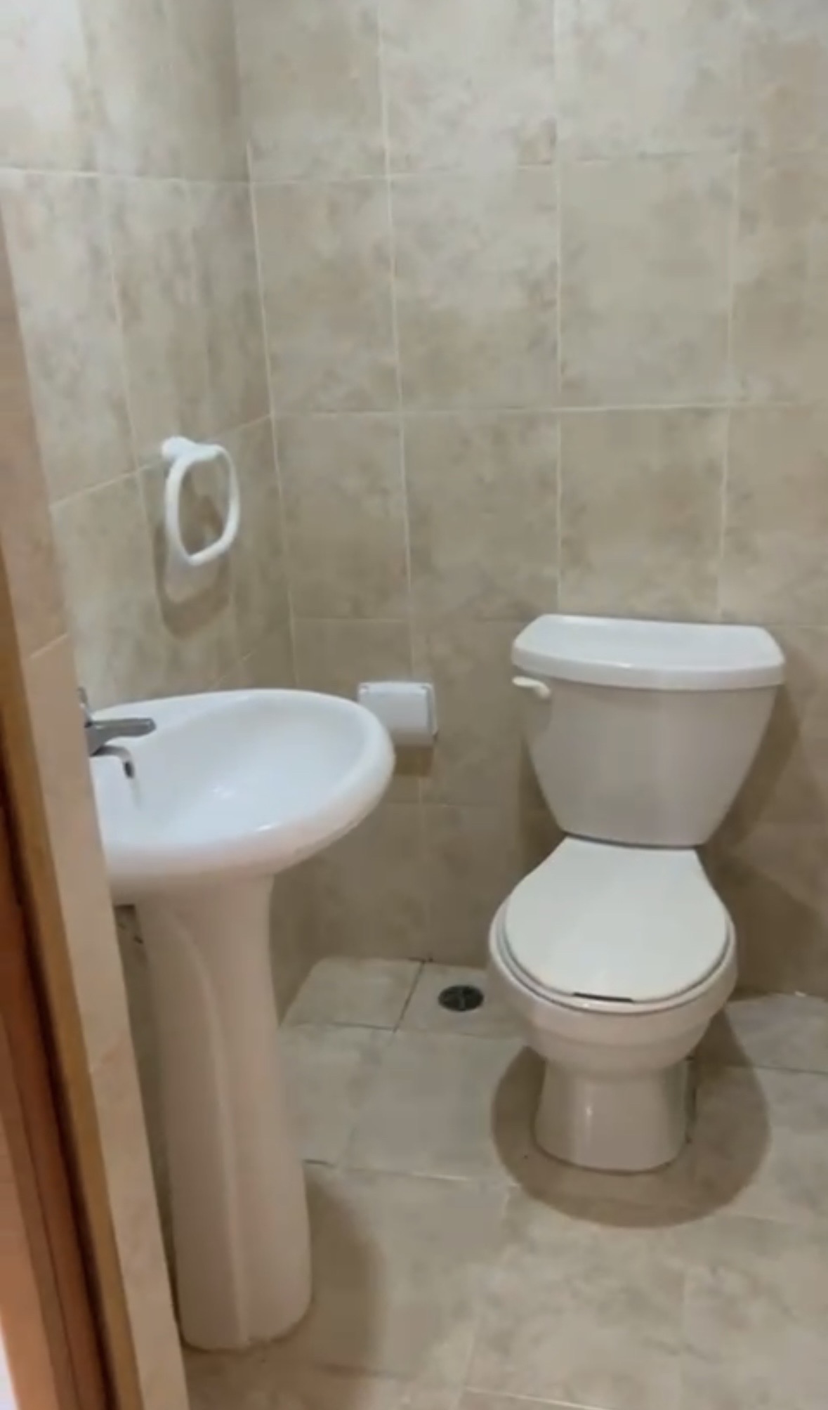 apartamentos - apartamento alquiler  2