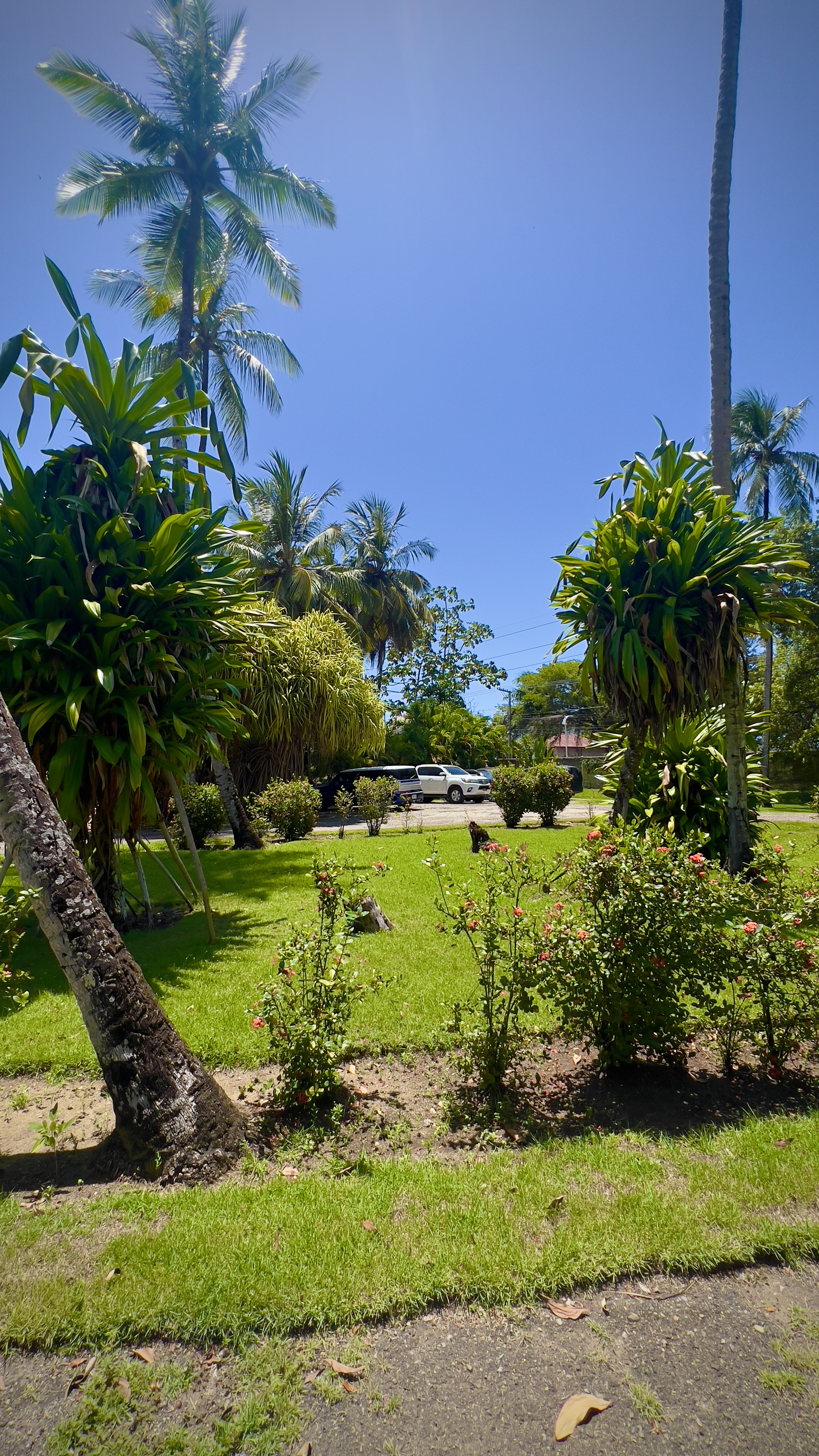 apartamentos - Apartamento Amueblado Cabarete, República Dom.  7