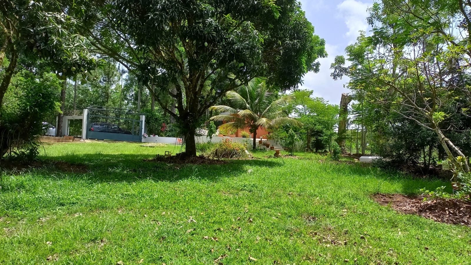 solares y terrenos - Solar en venta en los mogotes de Villa Altagracia República Dominicana de 5000m2 6