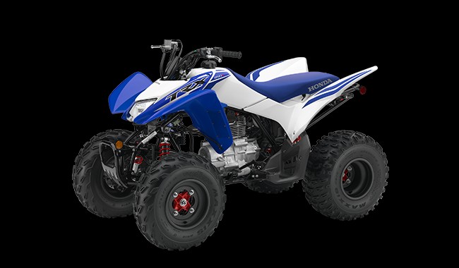 vehiculos recreativos - FOUR WHEEL   TRX250X 1