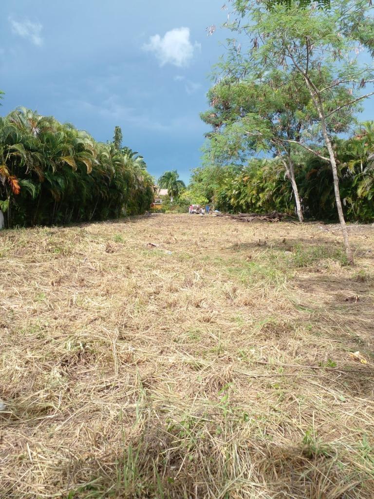 solares y terrenos - Solar  en venta en excelente zona en Guavaberry. 2