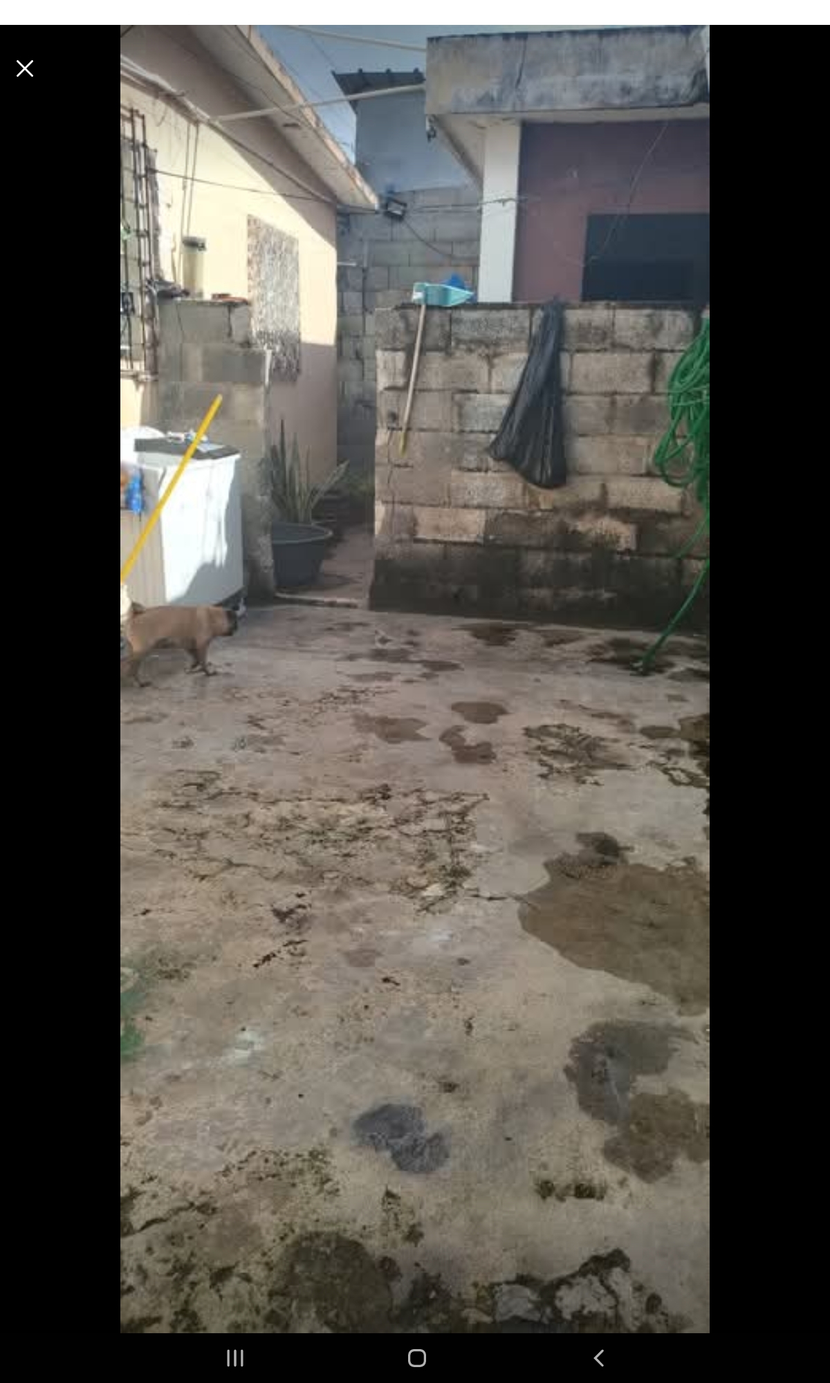 casas - CASA EN UNA ESQUINA,CERCA DE TODO... 0