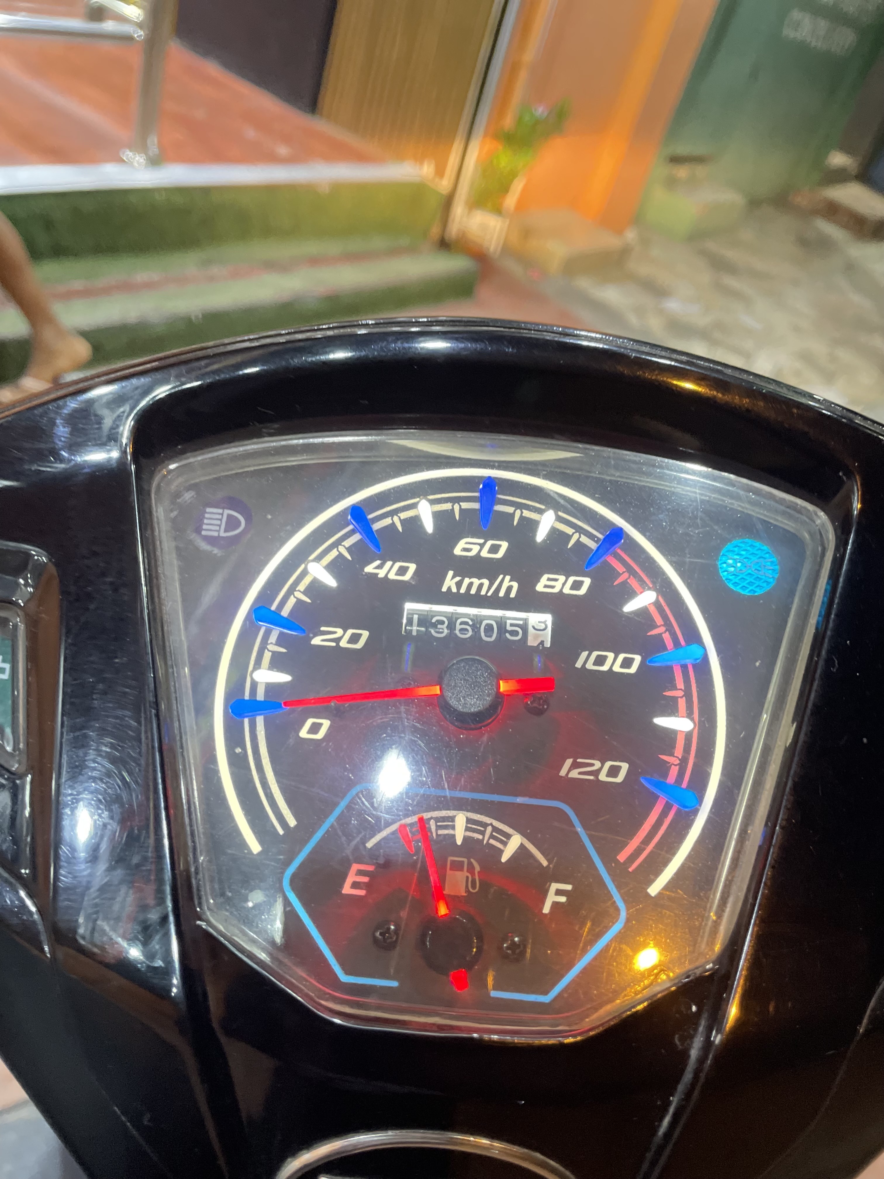 motores y pasolas - pasola X1000 7