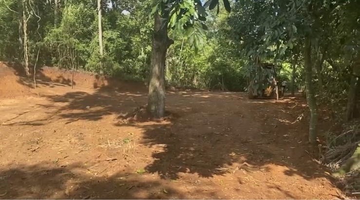 solares y terrenos - Tierra en Venta La Vega 
Finca En Venta 
Terreno en Venta  8