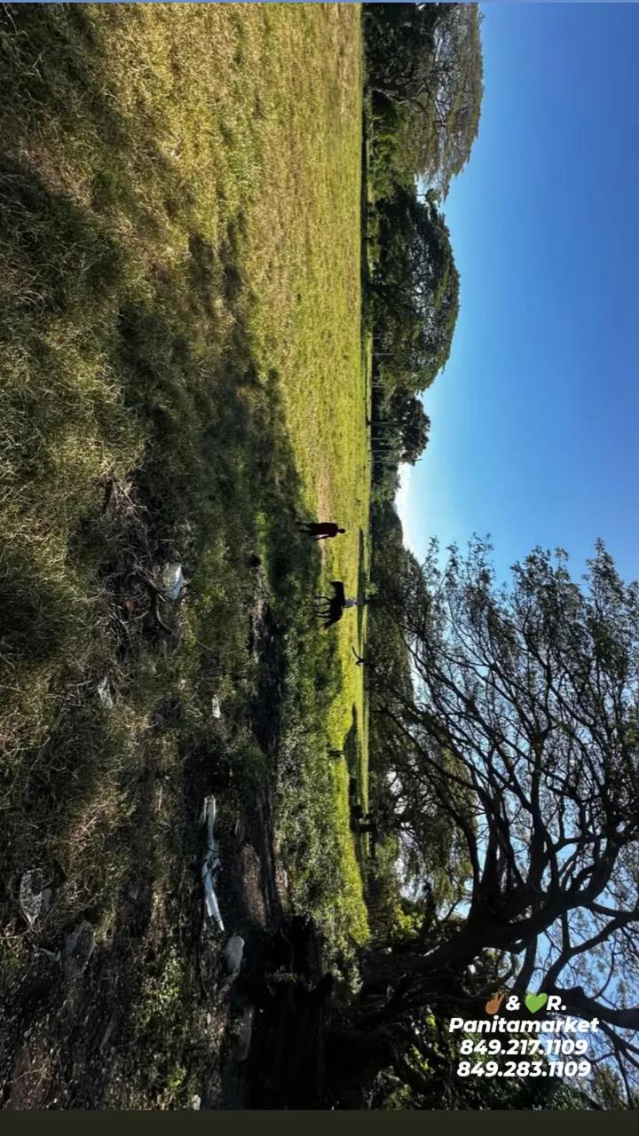 solares y terrenos - Finca de 225 tareas  con acceso al rio Yaque del norte en Santiago  9