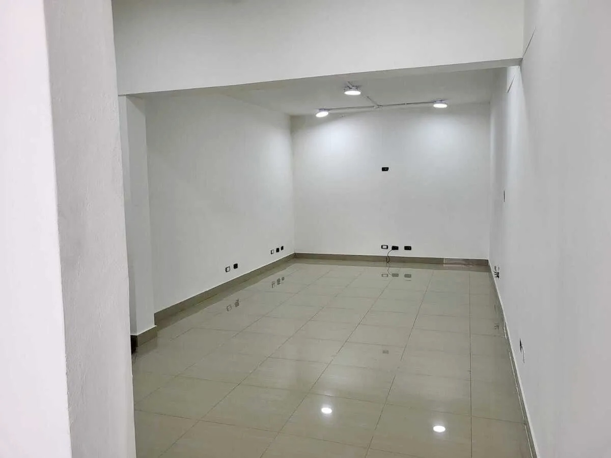 oficinas y locales comerciales - Local comercial en el millon 2