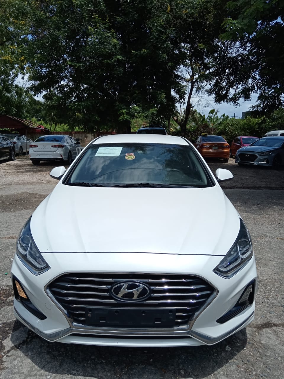 carros - HYUNDAI SONATA NEW RISE 2018 BLANCO 1