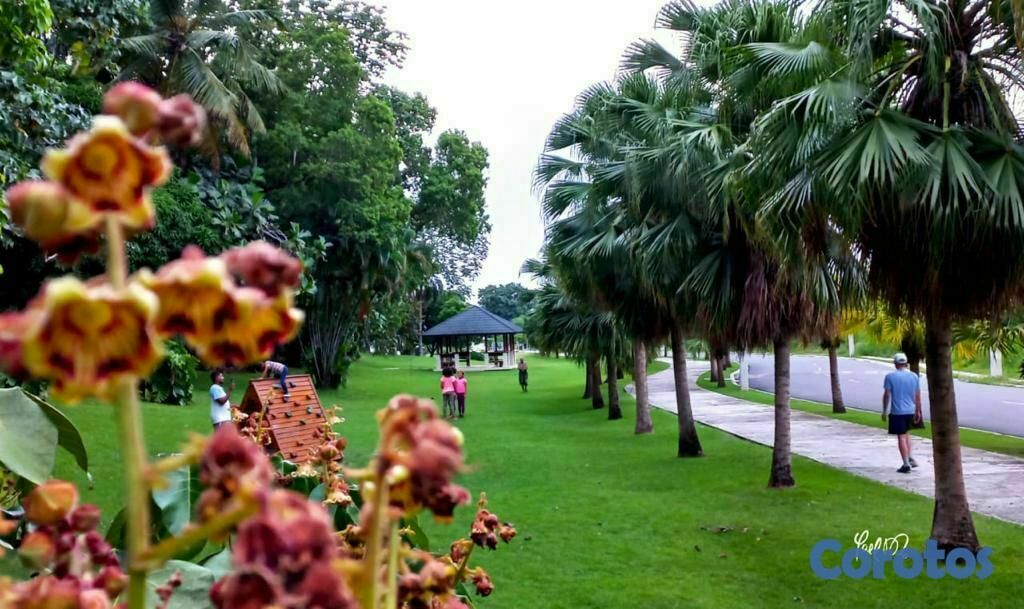 casas - Casa en Colinas del Oeste, av. Prolongacion 27, pa 9