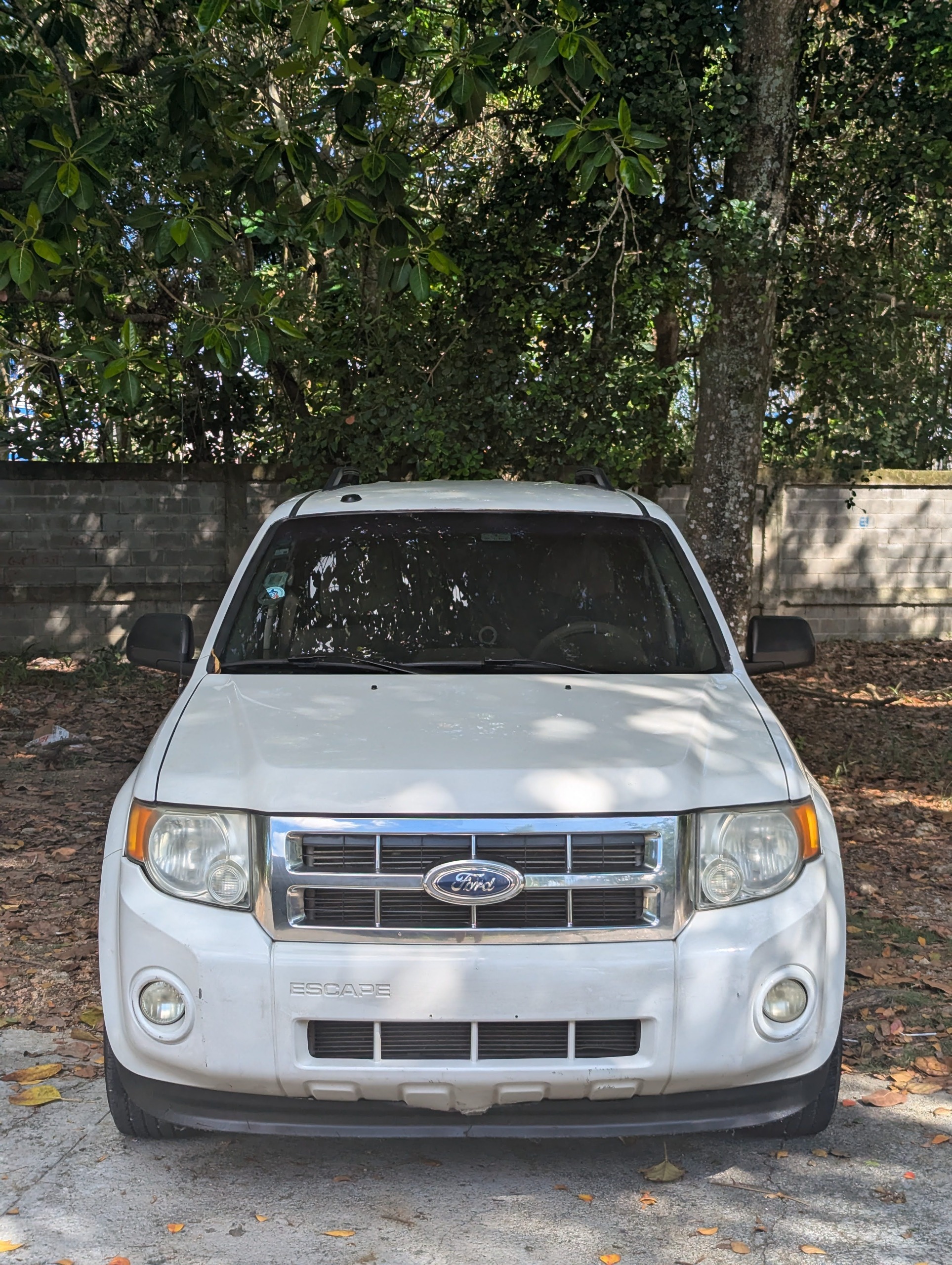 jeepetas y camionetas - Ford escape 2012 0