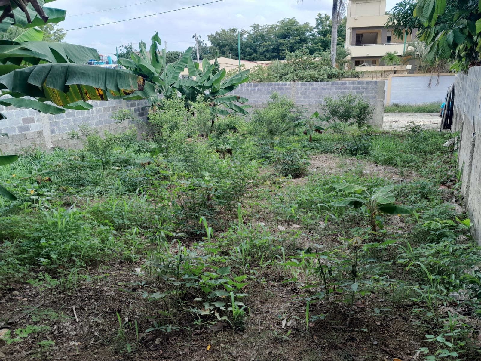 solares y terrenos - Venta de Solar 2