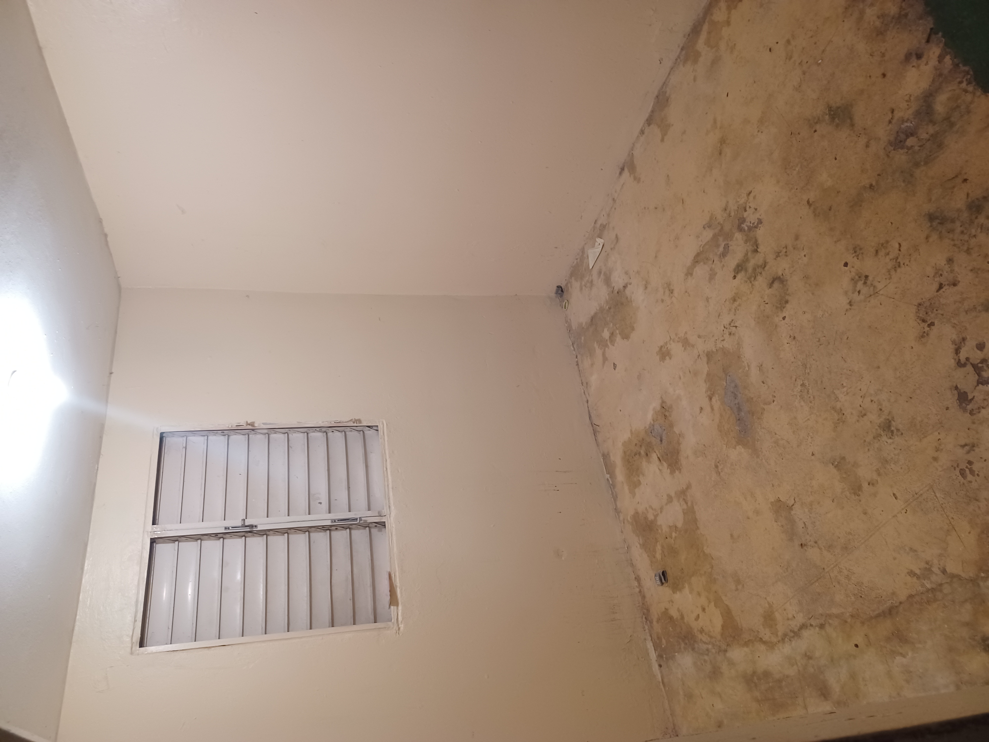 casas - ALQUILO Casa 1