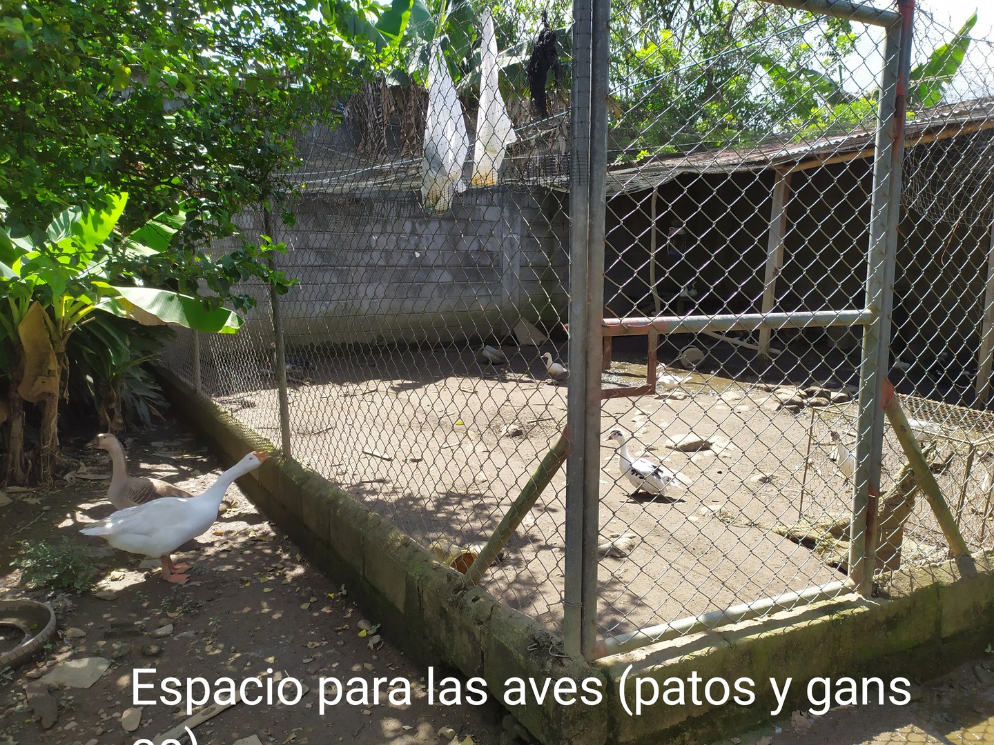 casas - CASA CON TÍTULO DESLINDADO  8