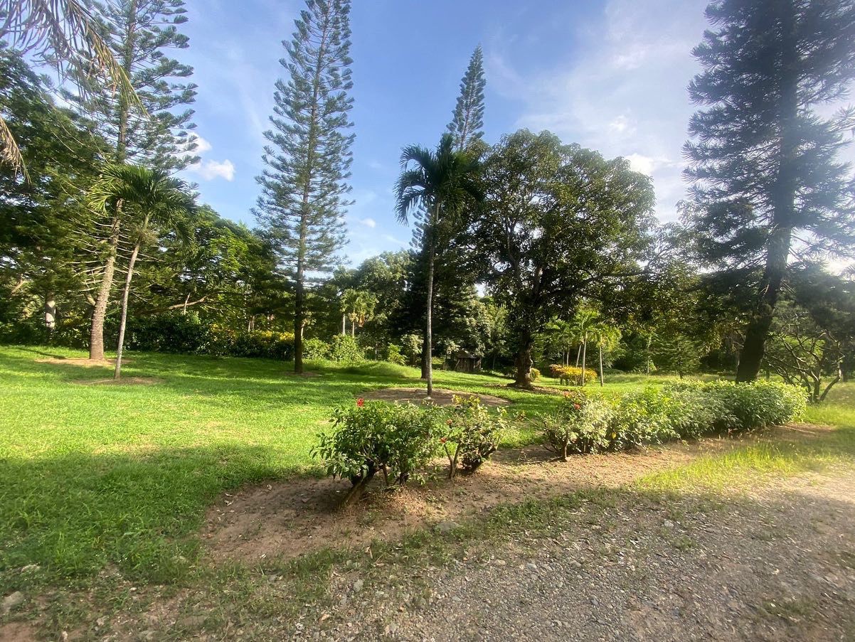 casas vacacionales y villas - Vendo finca! Oportunidad En moca, provincia espaillat.De 14845mts 7
