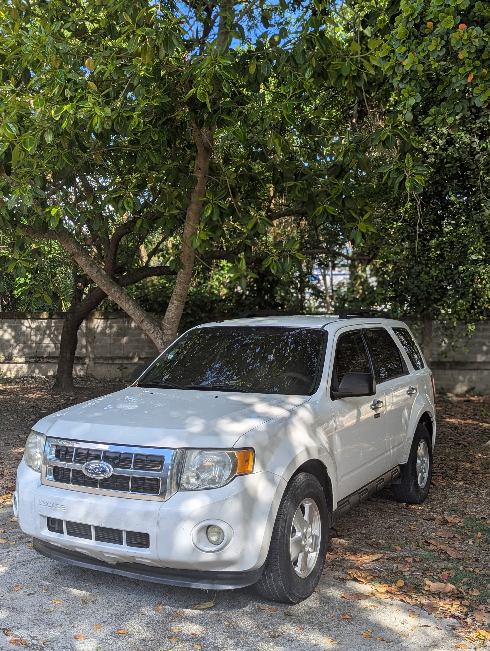 jeepetas y camionetas - Ford escape 2012 1