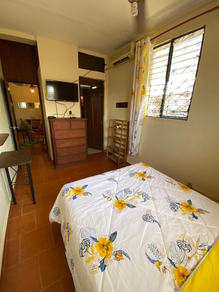 apartamentos - Alquiler Apartamento 1 Habitación, Zona Colonial 4