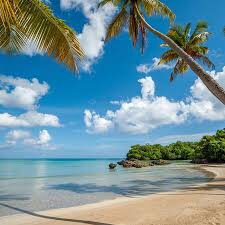 solares y terrenos - Las terrenas samana vendo solar 0