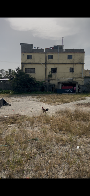 solares y terrenos - 🏝️ Terreno en Venta en Zona Turística –Boca Chica 2