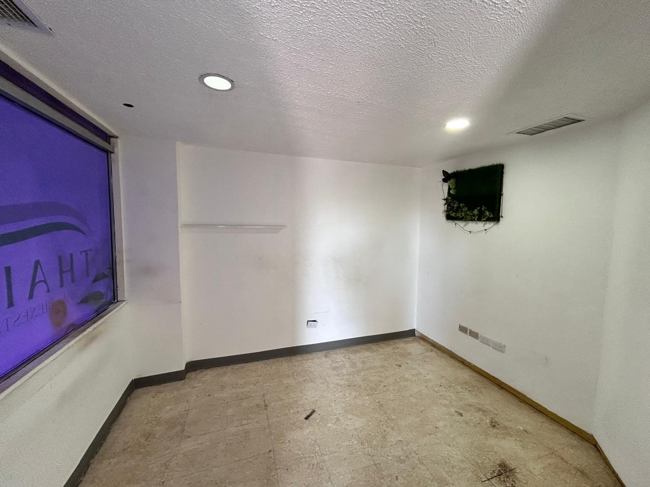 oficinas y locales comerciales - LOCALl en Plaza e ideal SPA  OFICINA, MULTIPLES  NEGOCIOS PLAZA JM EN LA RÓMULO  4