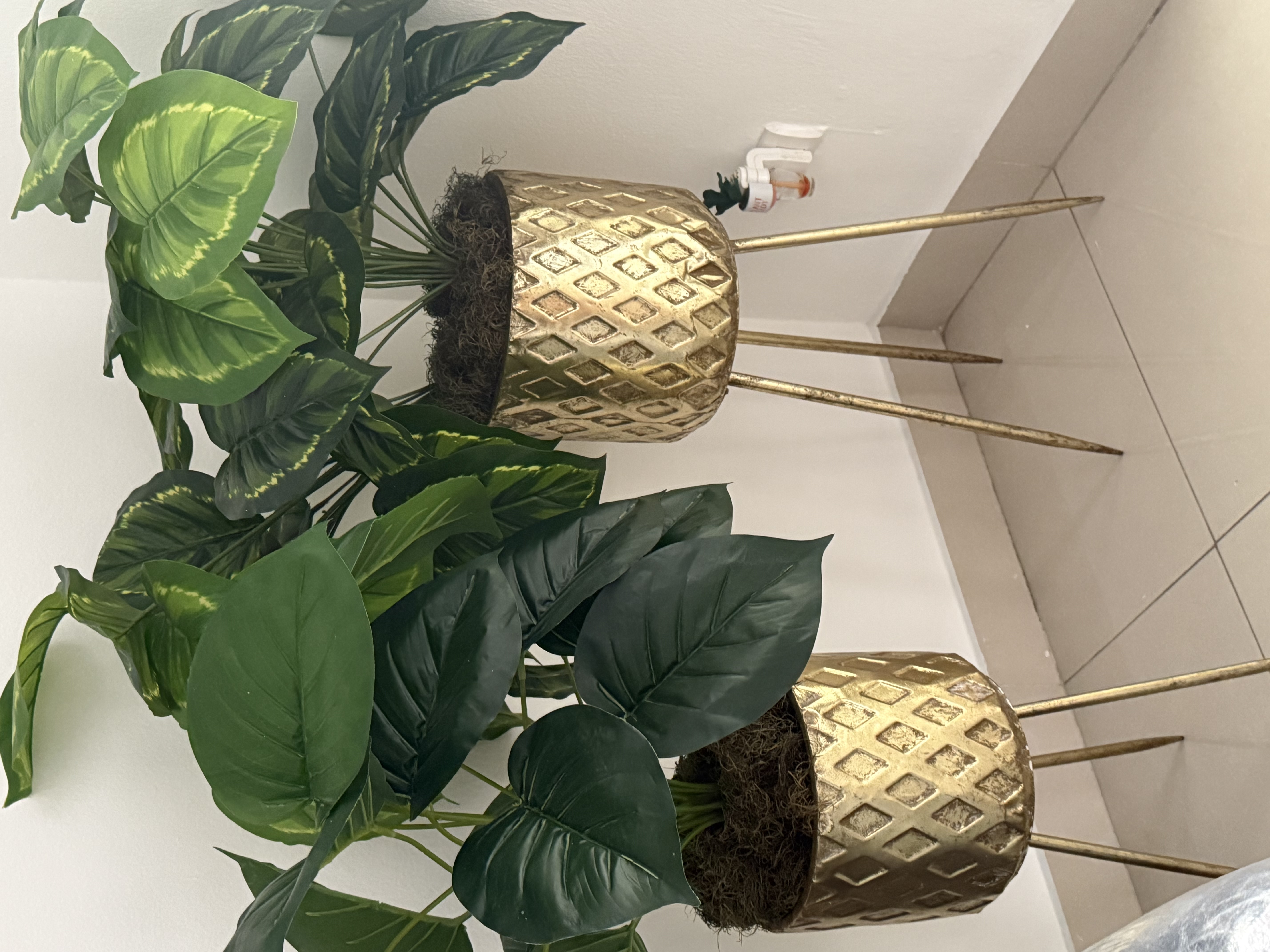 decoración y accesorios - Set de Maceteros Dorados 1