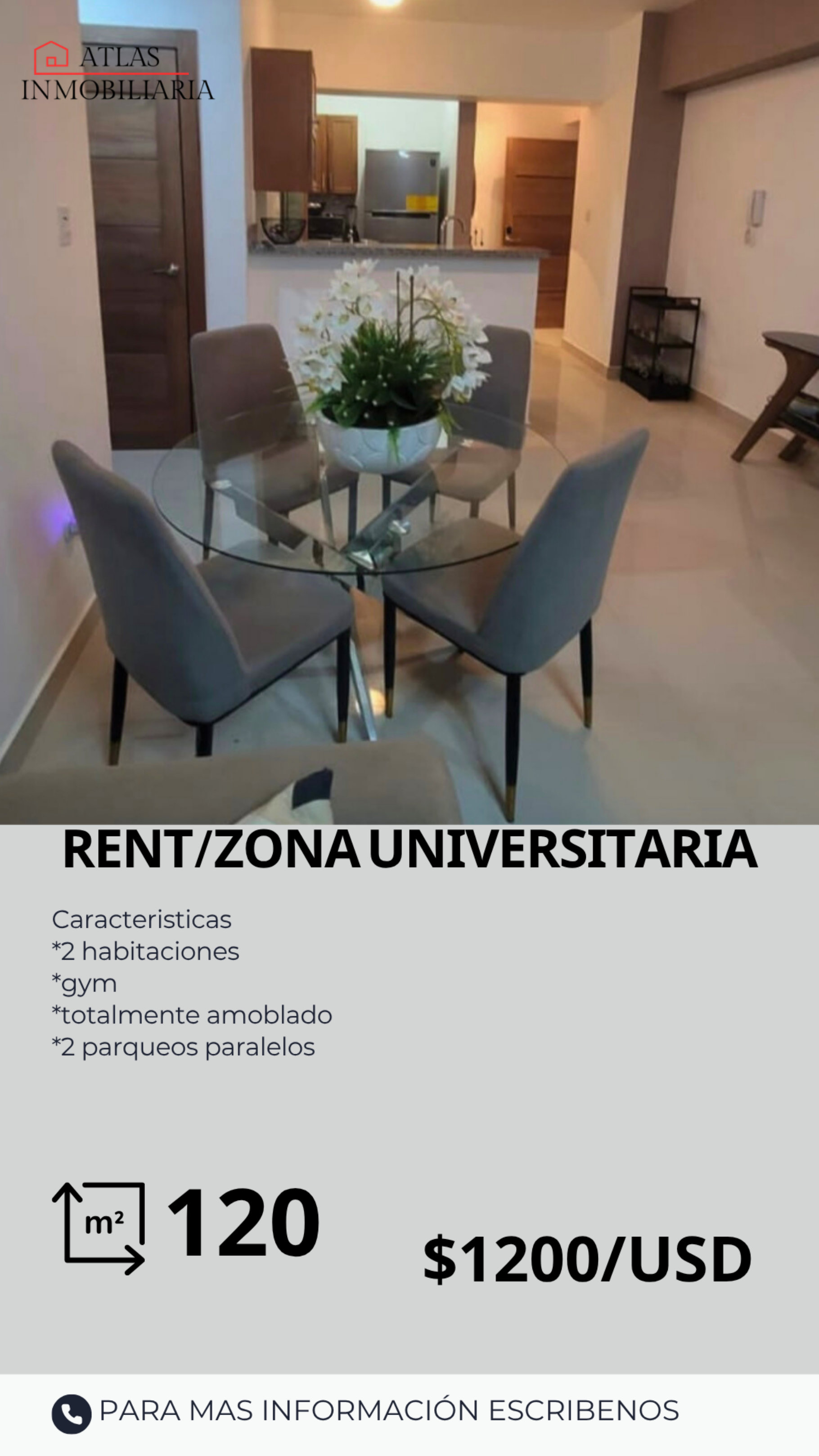 apartamentos - APARTAMENTO EN ALQUILER  0