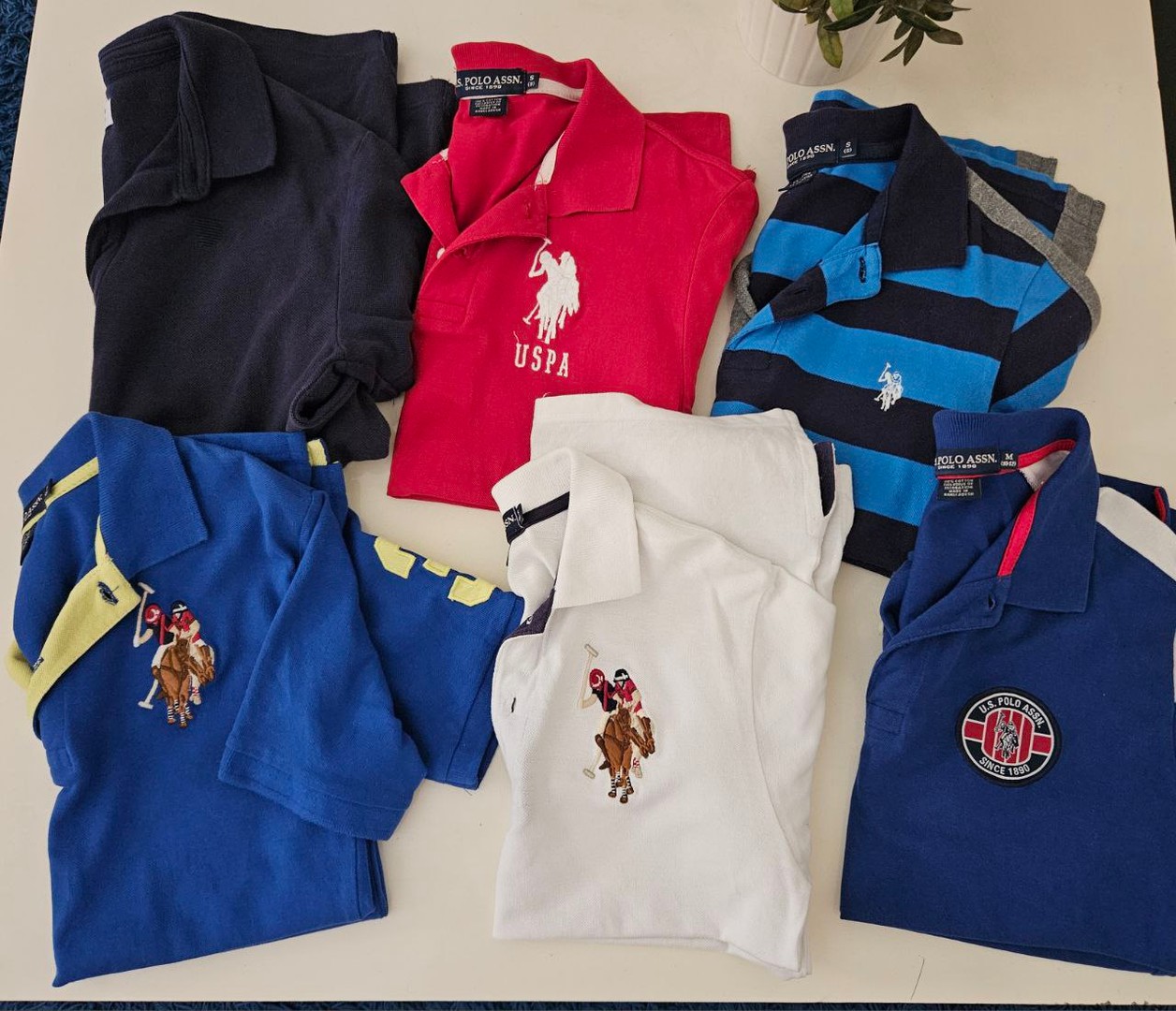 ropa y zapatos - Vendo polos en buen estado de niños de 7 a 10 años , a 200 cada uno.