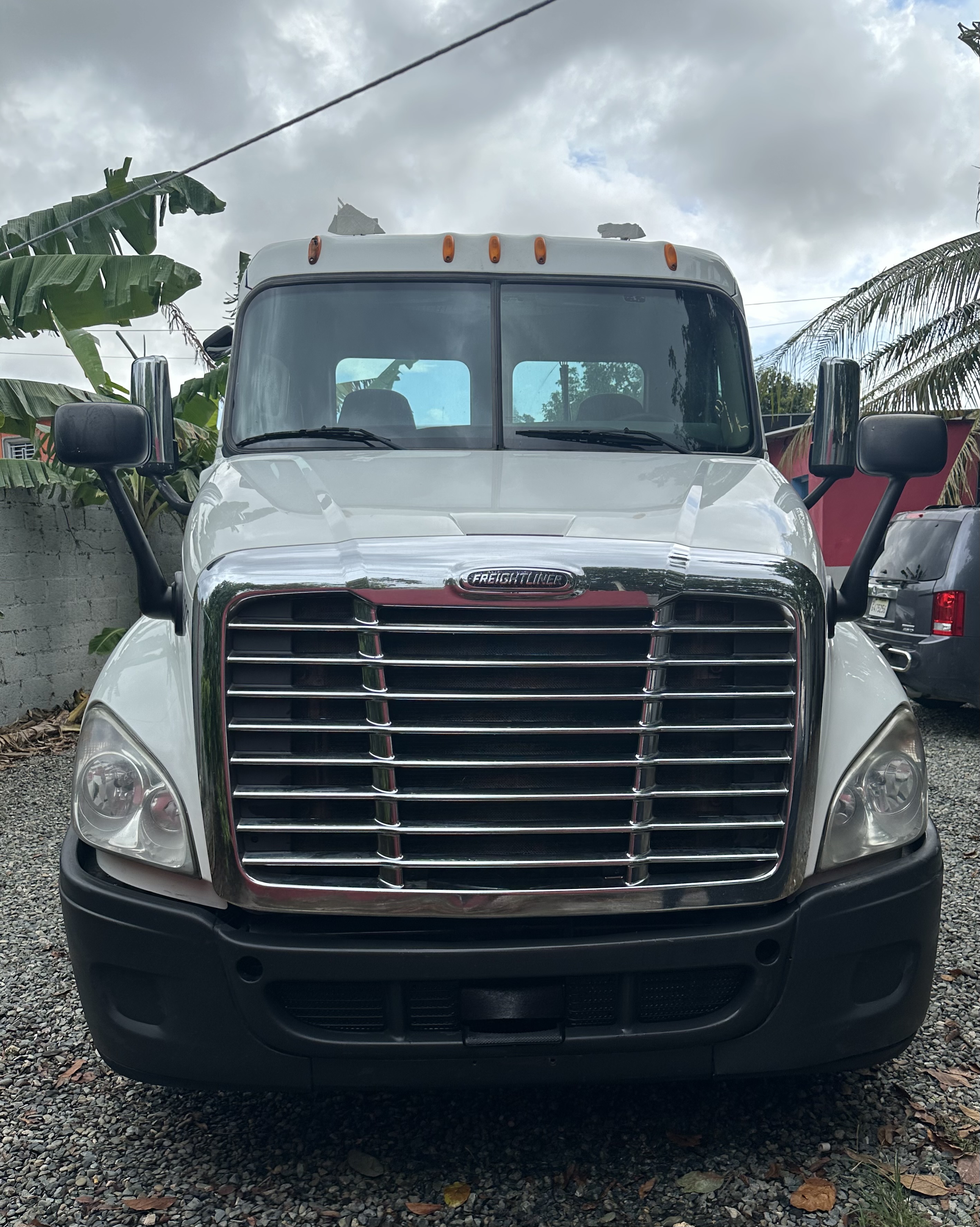 camiones y vehiculos pesados - Freightliner Cascadia 125 2014